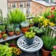 Dicas para jardinagem em espaços pequenos